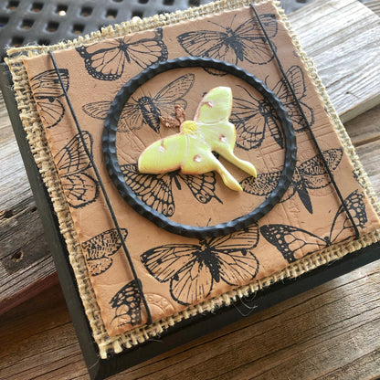 Luna Light Moth Star Moon polymer clay cutter set jewelry earrings pendant small sharp - Create Along 