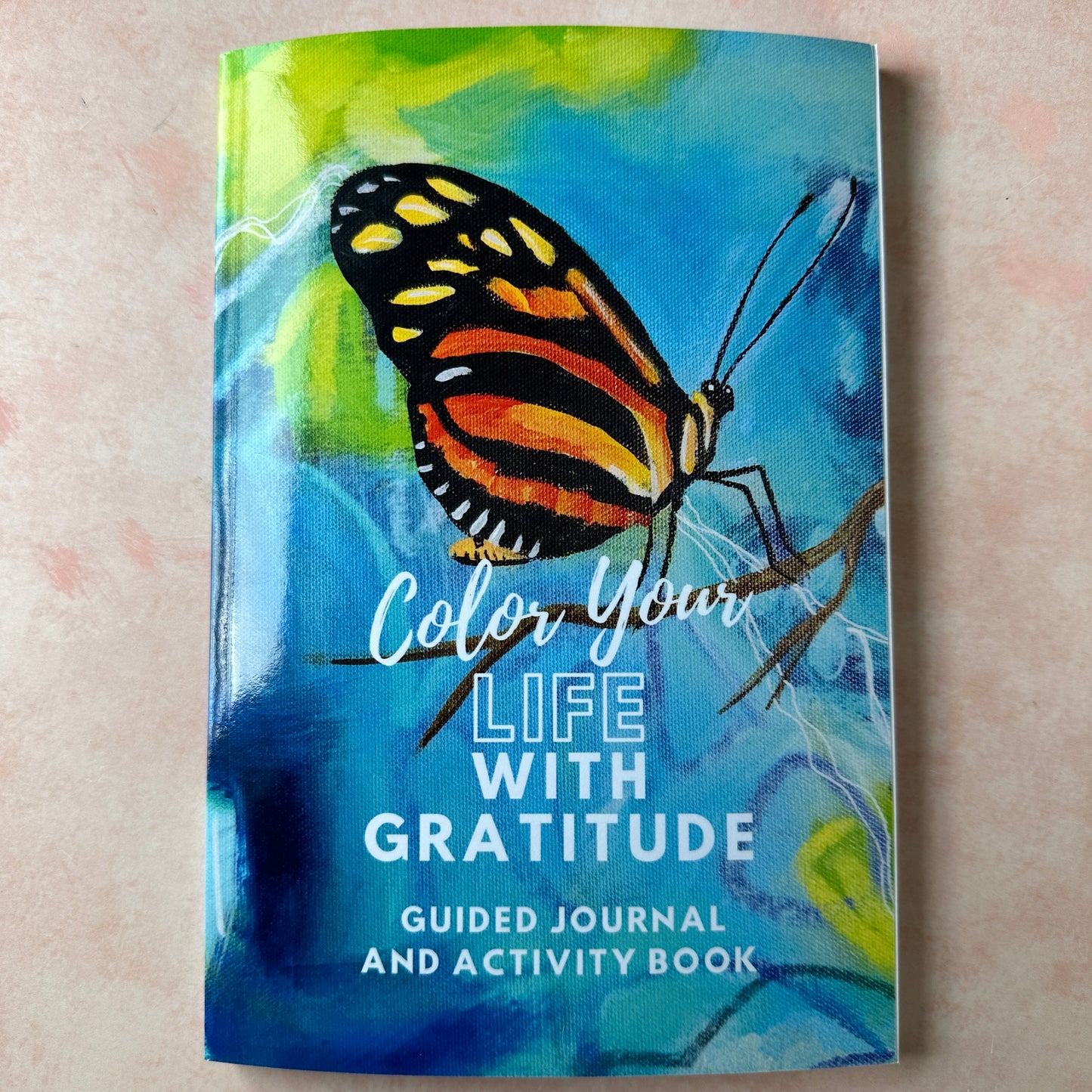 Color your Life with Gratitude daily prompt coloring writing journal