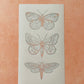 3 Moths polymer clay silk screen stencil