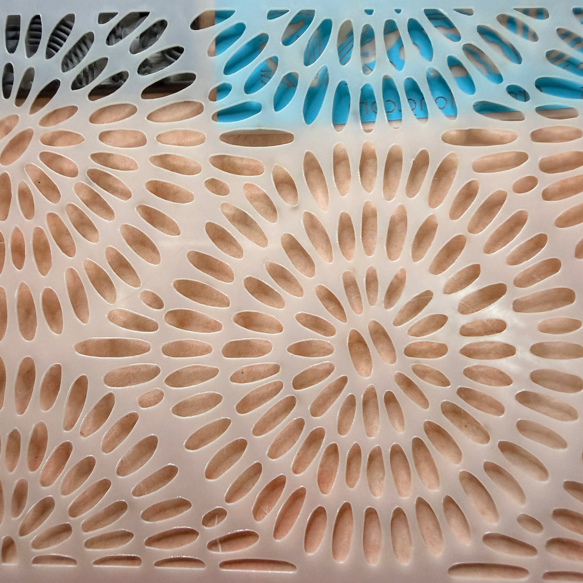 Polymer Clay Project Starter Bundle