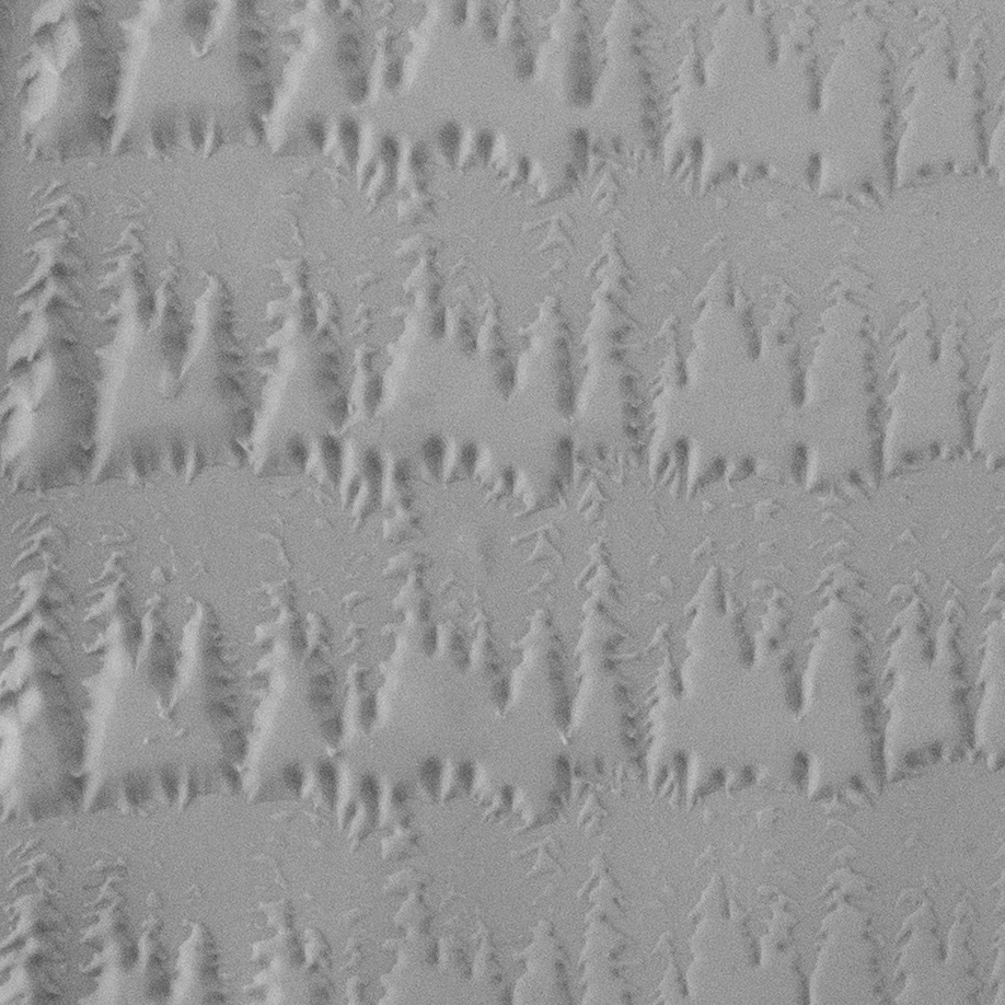 Texture Tile - Wisconsin Pines