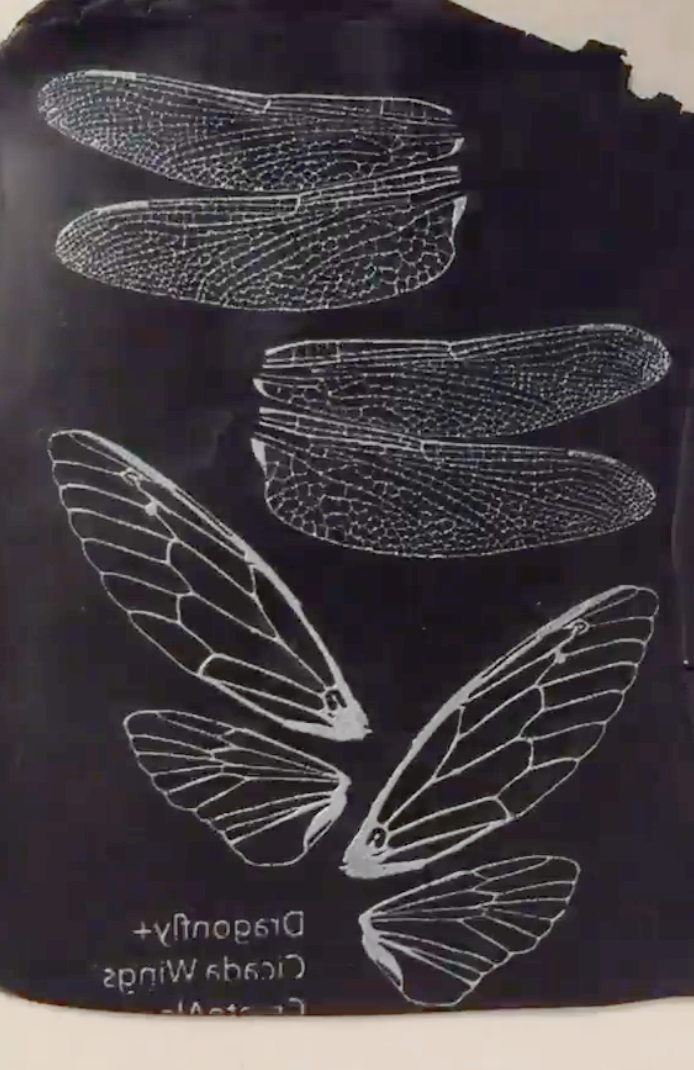 Silkscreen Dragonfly & Cicada Authentic Wings Stencil polymer clay - Polymer Clay TV tutorial and supplies